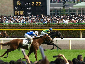 P6013479shuusei.JPG