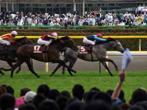 P6013676shuusei.JPG