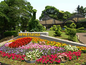 P5231577SHUUSEI.JPG