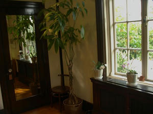 P5231869shuusei.JPG