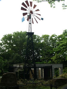 P5231941shuusei.JPG