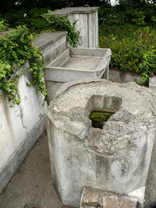 P5231947shuusei.JPG