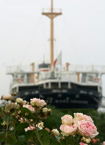 P5231977shuusei.JPG