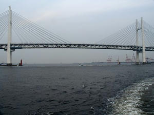 P5232050shuusei.JPG