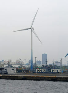 P5232056shuusei.JPG