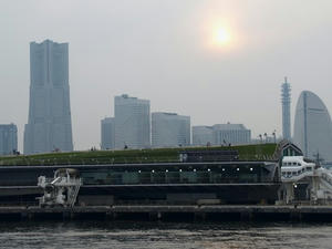 P5232085shuusei.JPG