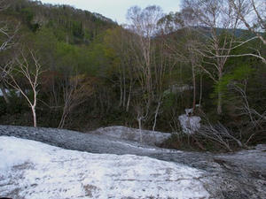 P5282203shuusei.JPG