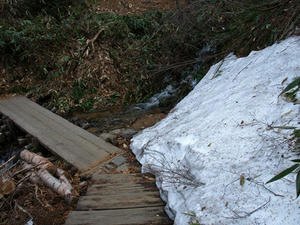P5282211shuusei.JPG