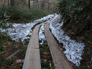 P5282227shuusei.JPG