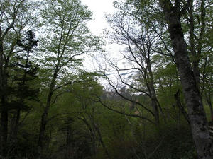 P5282212shuusei.JPG
