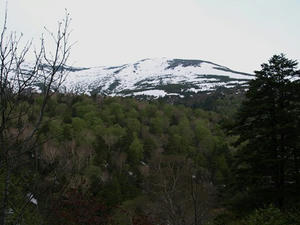 P5282219shuusei.JPG