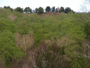 P5282228shuusei.JPG