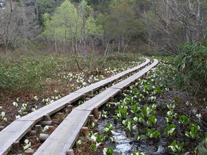 P5282249shuusei.JPG