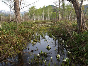 P5282275shuusei.JPG
