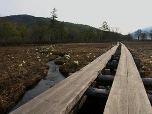 P5282315shuusei.JPG