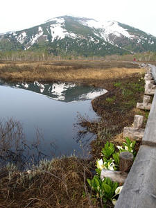 P5282375shuusei.JPG