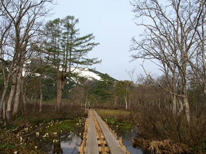 P5282331shuusei.JPG