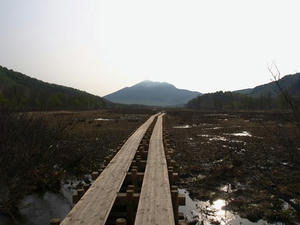 P5282332shuusei.JPG