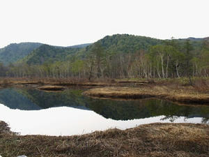P5282340shuusei.JPG