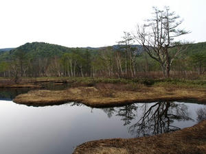 P5282342shuusei.JPG