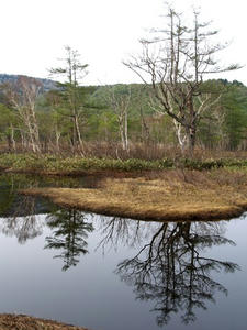 P5282346shuusei.JPG