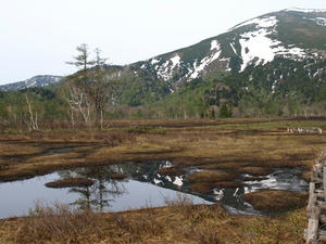 P5282350shuusei.JPG