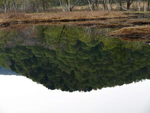 P5282353shuusei.JPG