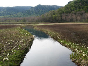 P5282431shuusei.JPG