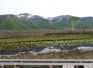P5282438shuusei.JPG