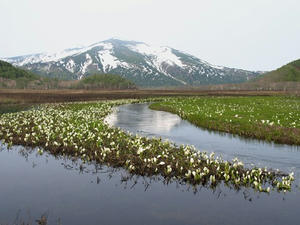 P5282442shuusei.JPG