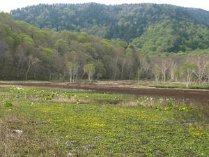 P5282488shuusei.JPG
