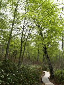 P5282611shuusei.JPG