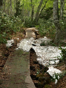 P5282614shuusei.JPG