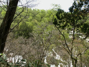 P5282636shuusei.JPG