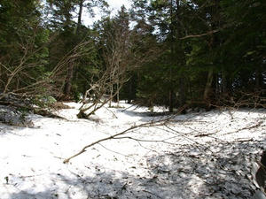 P5282649shuusei.JPG