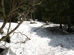 P5282650shuusei.JPG