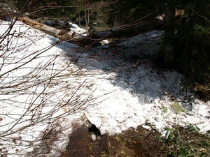 P5282668shuusei.JPG
