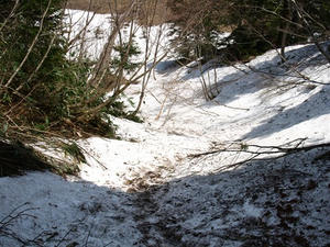 P5282670shuusei.JPG