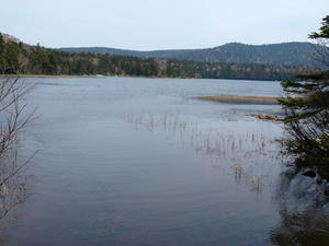 P5282707shuusei.JPG