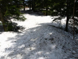 P5282724shuusei.JPG