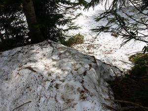 P5282759shuusei.JPG