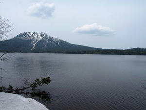 P5282769shuusei.JPG