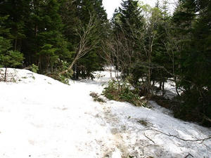 P5282777shuusei.JPG