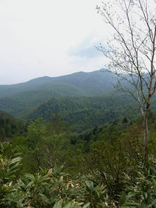 P5282783shuusei.JPG