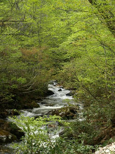 P5282826shuusei.JPG