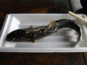 P5282864shuusei.JPG