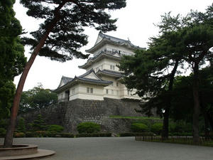 P6114165shuusei.JPG