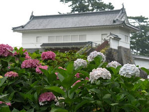 P6114148shuusei.JPG