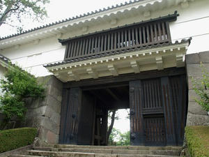 P6114161shuusei.JPG