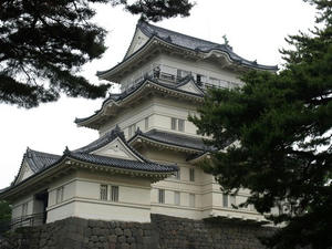 P6114167shuusei.JPG